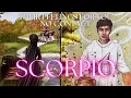 SCORPIO TAROT You are being manifested by someone their ego is collapsing as they realize your value