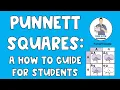 Punnett Squares A Student How to Guide