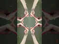 Download Lagu Lily by Alan Walker - Splitmirror Fingerdance/Handdance/Tutting