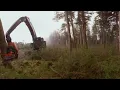 Pape 360 Experience John Deere 909M Feller Buncher