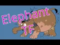 Elephant Transformation Elephant TFTG