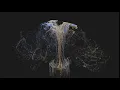 Particle Explosion