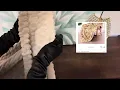 Fleece Throw Blanket Amazon Review Unboxing