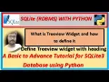 SQLite RDBMS With Python What is Treeview How to Define Treeview widiget