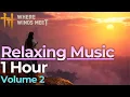Lagu Where Winds Meet OST, 1 hour relaxing bgm | Relaxing Wuxia Soundtrack 燕云十六声 WWM