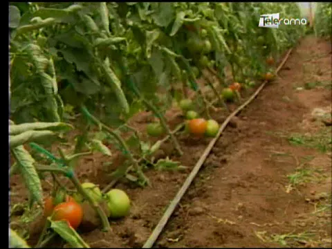Ecuador Agropecuario 05-03-2018