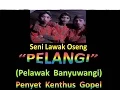 Lagu PELANGI Pelawak Banyuwangi