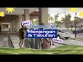 Download Lagu One Day Trip: Menjangan \u0026 Tabuhan Island, Banyuwangi | A Perfect Tropical Getaway 🏝️