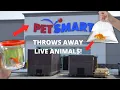 HOW I WENT VIRAL ON TIKTOK SAVING LIVE ANIMALS WHILE DUMPSTER DIVING