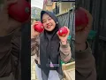 Download Lagu STRAWBERRY MANGGA APEL #shorts