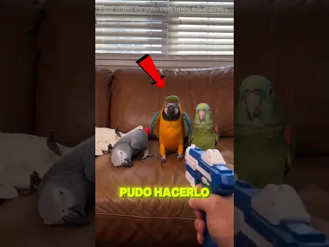 The Last Parrot Left Everyone Speechless 😮😂