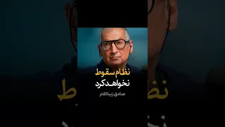 زیباکلام نظام سقوط نخواهد کرد 