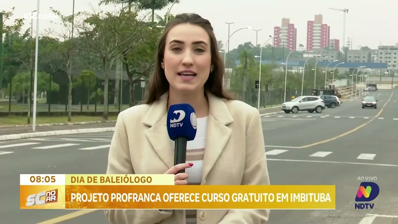 Dia de Baleiólogo: Projeto Profranca oferece curso gratuito em Imbituba