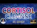Download Lagu Calming Cortisol Cleanse | Sound Therapy for Deep Sleep | Reduce Cortisol \u0026 Anxiety | 12 Hours |