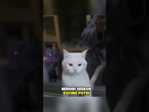 Mengetuk Jendela Memohon Agar Diselamatkan.