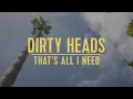 Dirty Heads - That's All I Need (Official Video)