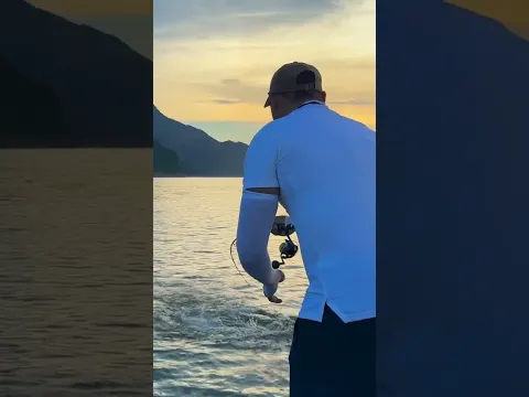 We Almost Gave Up… You Won't Believe What Hit! 🤯 #fishing