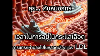 ทำไมคอเลสเตอรอลชนิด LDL ถึงมีโอกาสทำให้เกิดโรคหลอดเลือดหัวใจได้มากกว่าชนิดอื่น 
