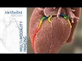 CTA for Assestment of Coronary Anatomy and Physiology Su Min Chang MD December 1 2020