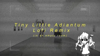 Download Tiny Little Adiantum (Lil Boom - Already Dead Instrumental) but its a Lofi Remix in an empty room MP3