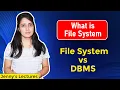 Lec 2 File processing system in dbms Disadvantages of file system File System vs DBMS