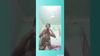 اغنية عالم زمانه مخنوق منكم انا باءمانة 