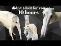 Didn t I do it for you 10 Hours