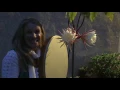 Rhythms in Bloom:  Drumming for Moon Flowers
