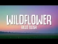 Lagu Billie Eilish - WILDFLOWER (Lyrics)