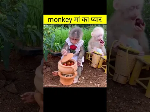 Love for baby | Amazing videos in hindi #shorts
