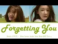 DAVICHI (다비치) - Forgetting You (Moon Lovers: Scarlet Heart Ryeo OST Part 4) (Lyrics Han/Rom/Eng)