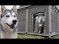 AIVITUVIN Extra Large Insulated Dog House - Assembly Review