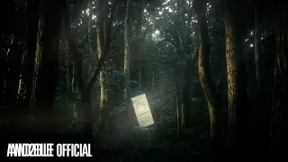 Sequence 01 Curiosity Highlight Medley AND2BLE