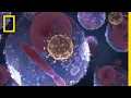 Download Lagu AIDS 101 | National Geographic