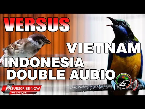 Download MP3 CUCAK CUNGKOK VIETNAM VS BURUNG GEREJA GACOR INDONESIA DOUBLE AUDIO MASTERAN BURUNG TERBAIK