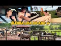 Lagu ÚLTIMA LIDA NA FAZENDA COM O PATRÃO| CHEGARAM AS PORTAS DOS ARMÁRIOS E OS MATERIAIS DA ALMEIDA