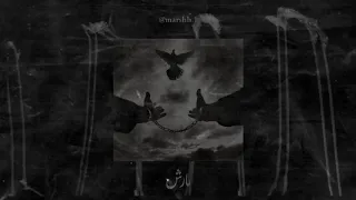 تراك مذنب كامل في الوصف  ويجز دندنها