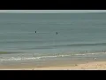 How did Galveston s water turn blue Expert explains Forecasting With Friends