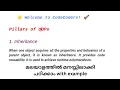Inheritance Java Programming Malayalam Tutorial Oops Java