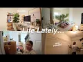 Lagu Life Lately: Starting another project, organizing, and finally settling in!