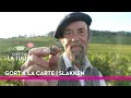 Download Lagu Gort a la Carte | Seizoen 2 | AFL 1. SLAKKEN