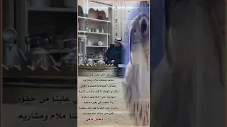حنا نعد اللي علينا من حقوق    نخاف يلحقنا ملام ومشاريه دندنها