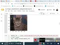 57 CNN -
