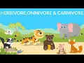 Herbivores Carnivores Omnivores Types of Animals