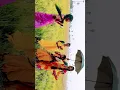 Download Lagu Seema dasara chinnodu.. @divyasworldtanuku #trending #hyderabad #kids #rajahmundry #funny
