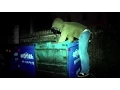Trashed Nation