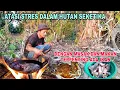 Download Lagu ATASI STRES DALAM HUTAN SEKETIKA || DENGAN MASAK DAN MAKAN TERPENTING ADA IKAN
