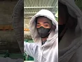 Download Lagu https://vt.tiktok.com/ZSDfjD9r9/ #cabaymau #channa #caloc #guppy #caloccanh #aquarium #snakehead