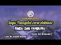 Download Lagu Lagu dangdut versi elektone || Rindu dan cemburu / Vocal ani Wulandari