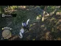 RDO Daily Challenge - 5 Chanterelle Picked
